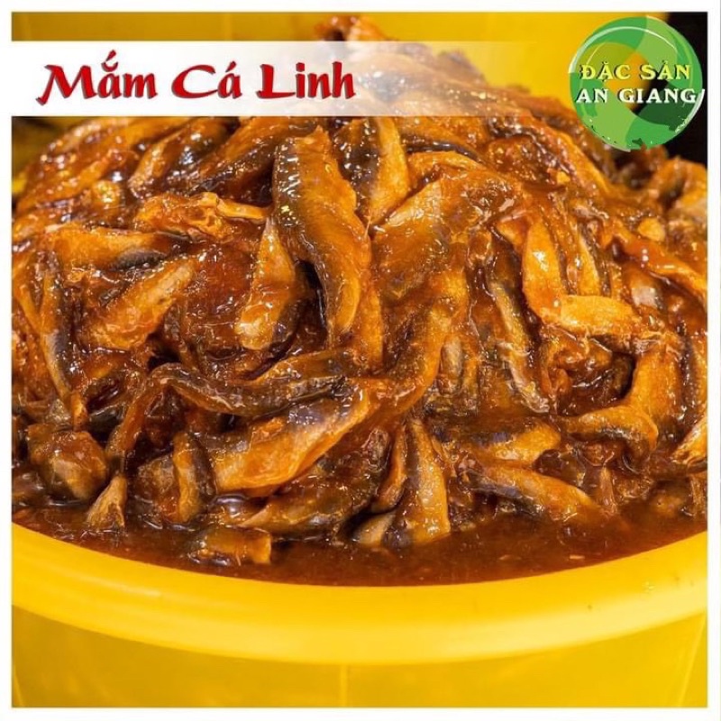 Mắm cá linh